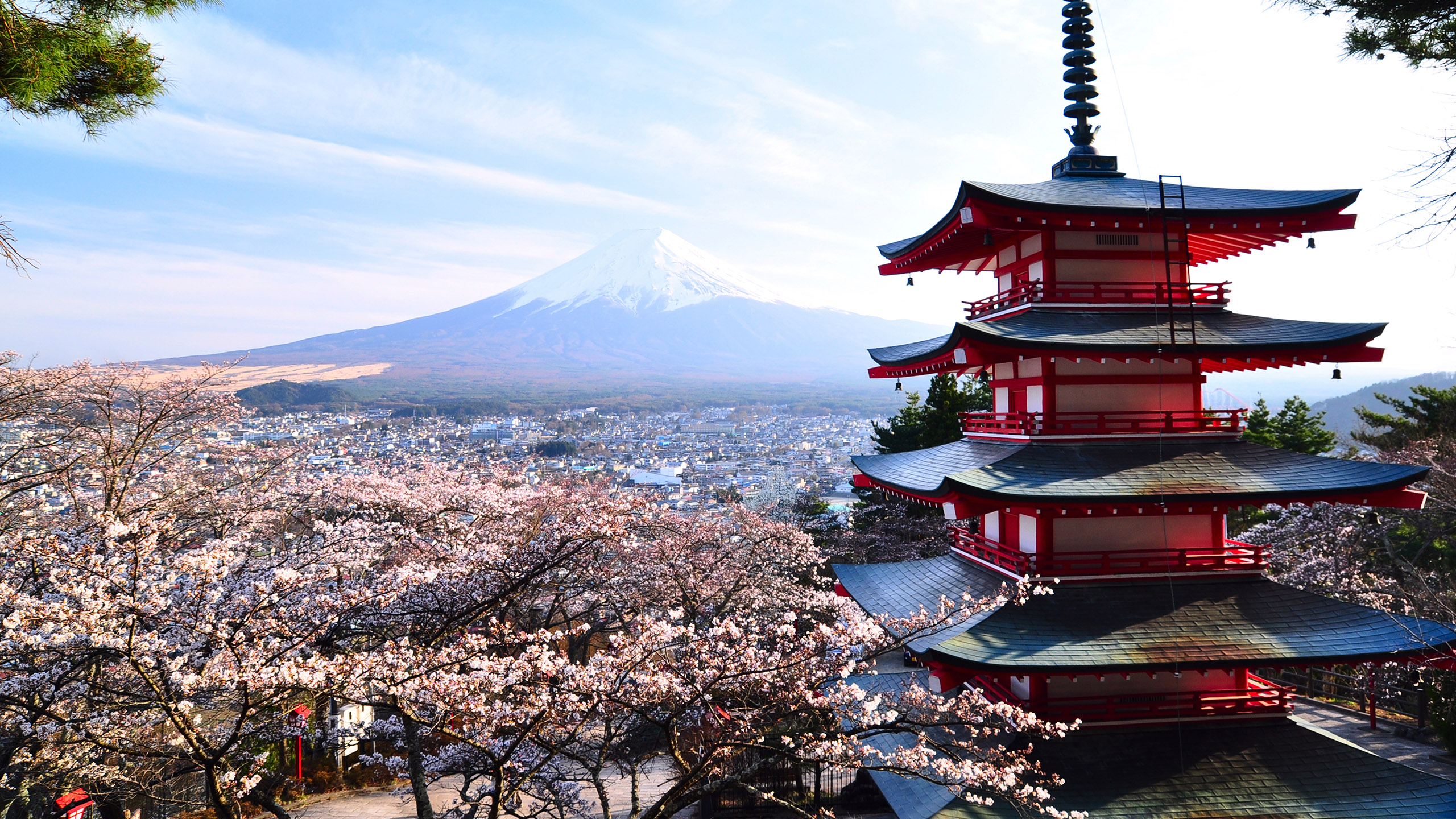 viaje de luna de miel en Japón