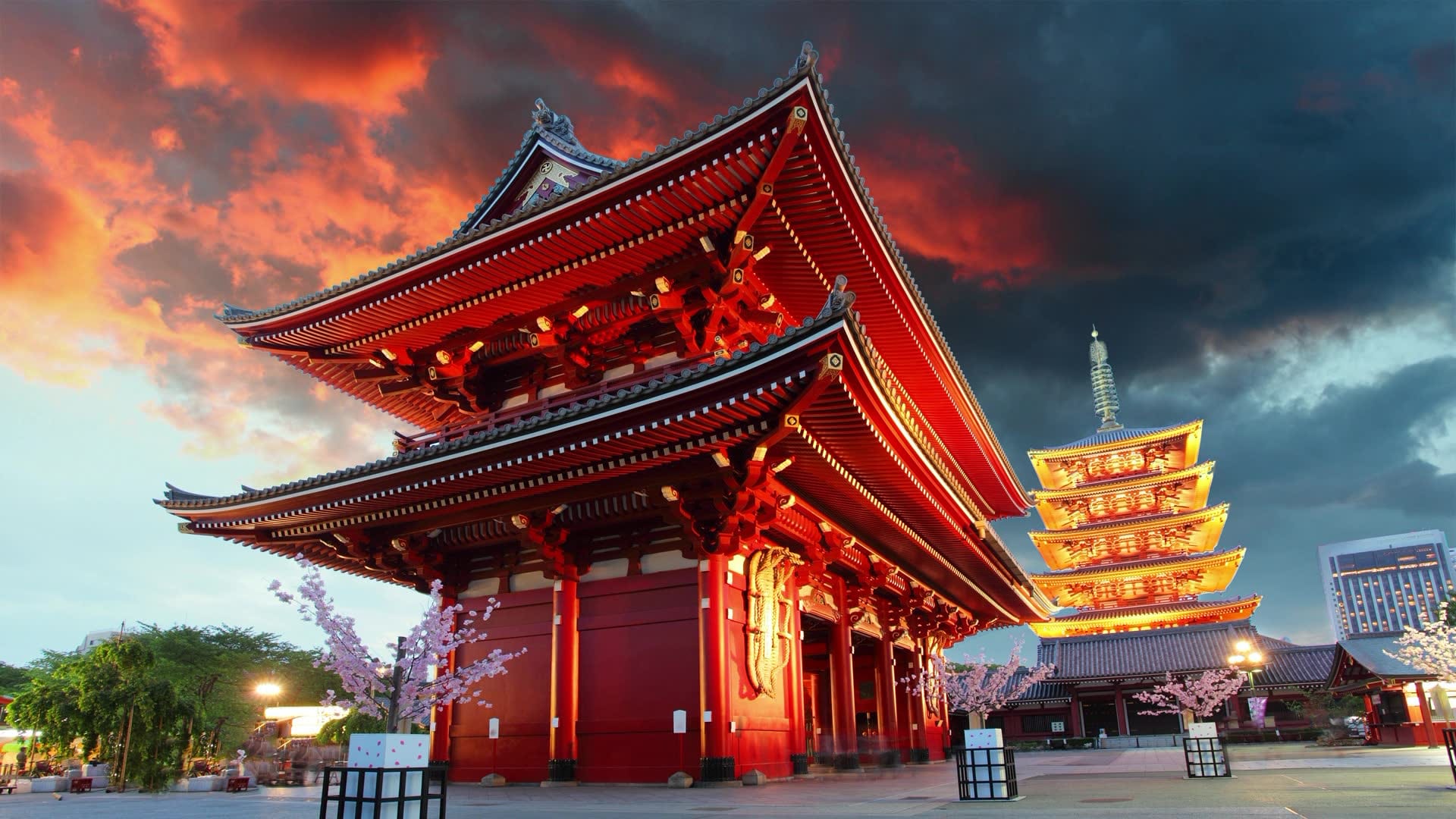 luna de miel en Japón